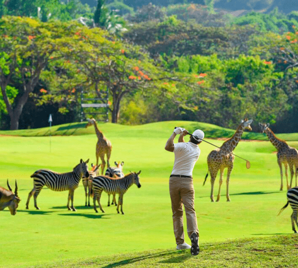 Chinh phục sân Golf giữa kỳ quan thiên nhiên thế giới