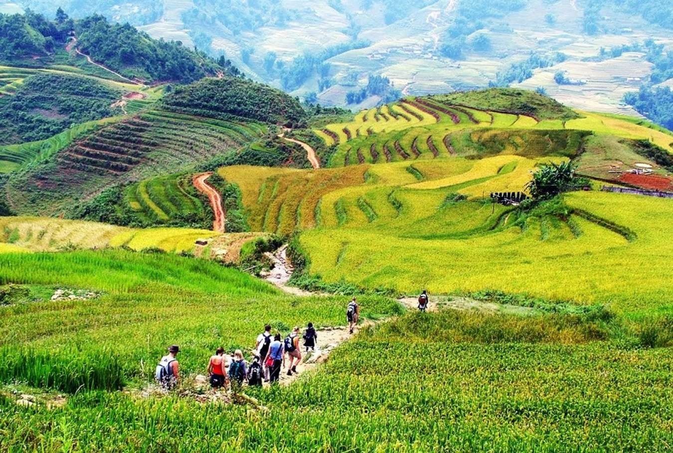 Cung đường trekking đáng chú ý nhất ở Sapa hiện nay