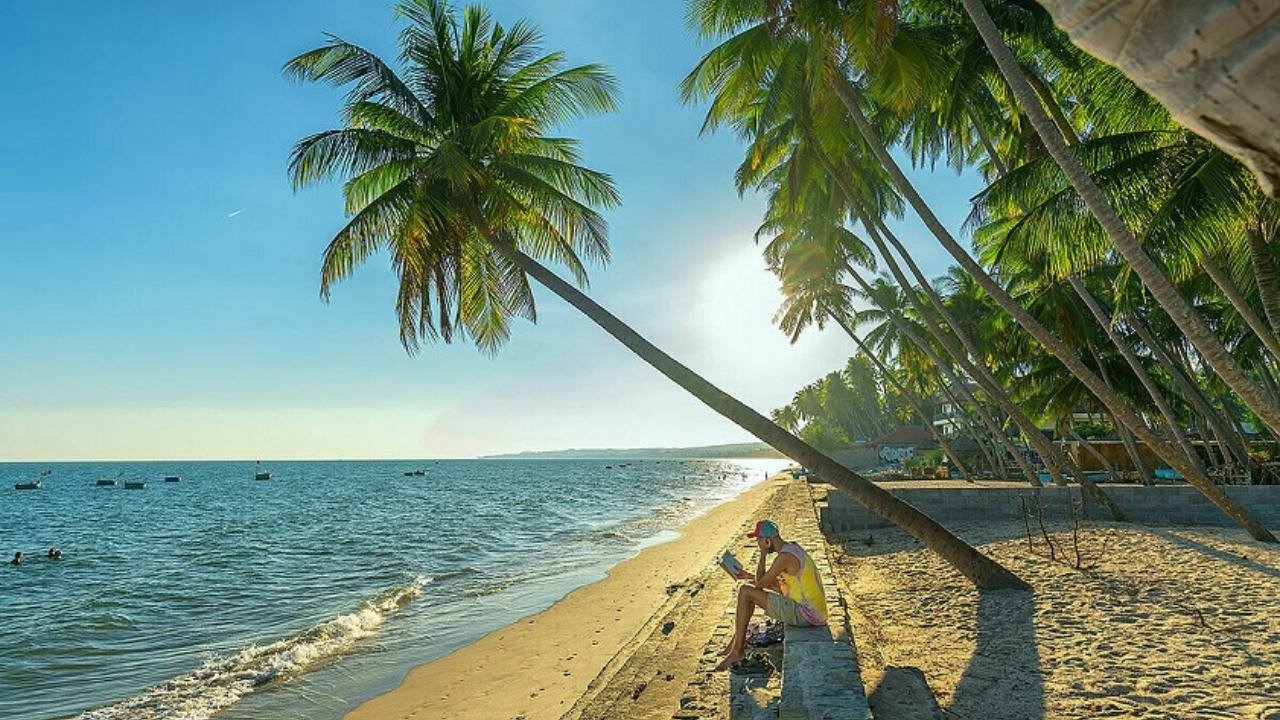 Người đàn ông ngồi dưới bóng cây dừa, thưởng thức cảnh biển và đọc sách vào buổi chiều tại một bãi biển nhiệt đới.