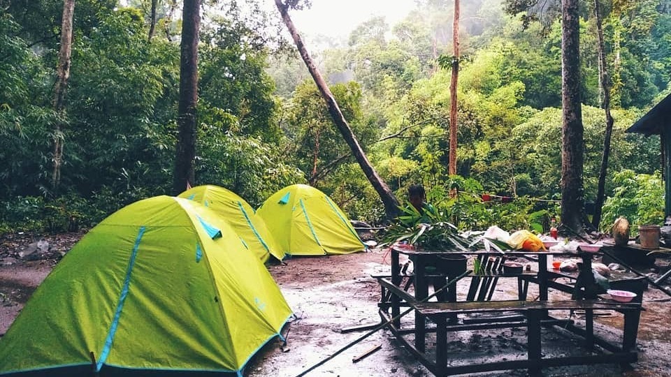 Ba lều trại màu xanh lá giữa khu rừng nhiệt đới tươi tốt với bàn picnic và cảnh vật ẩm ướt vào ngày mưa.