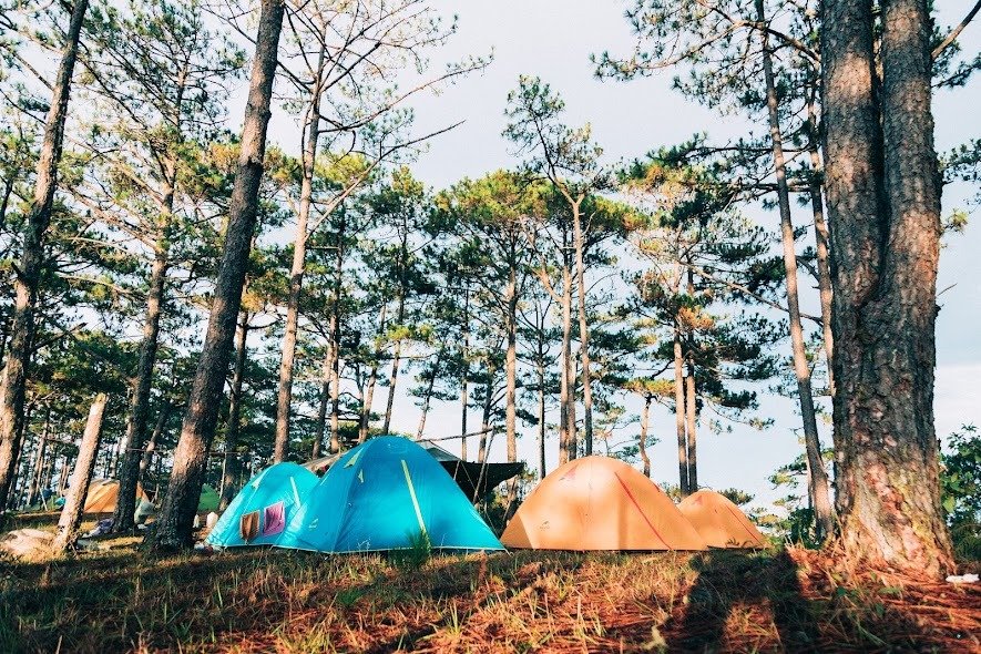 Khu cắm trại trong rừng với lều xanh và cam bao quanh bởi cây thông, ánh sáng tự nhiên làm nổi bật khung cảnh.