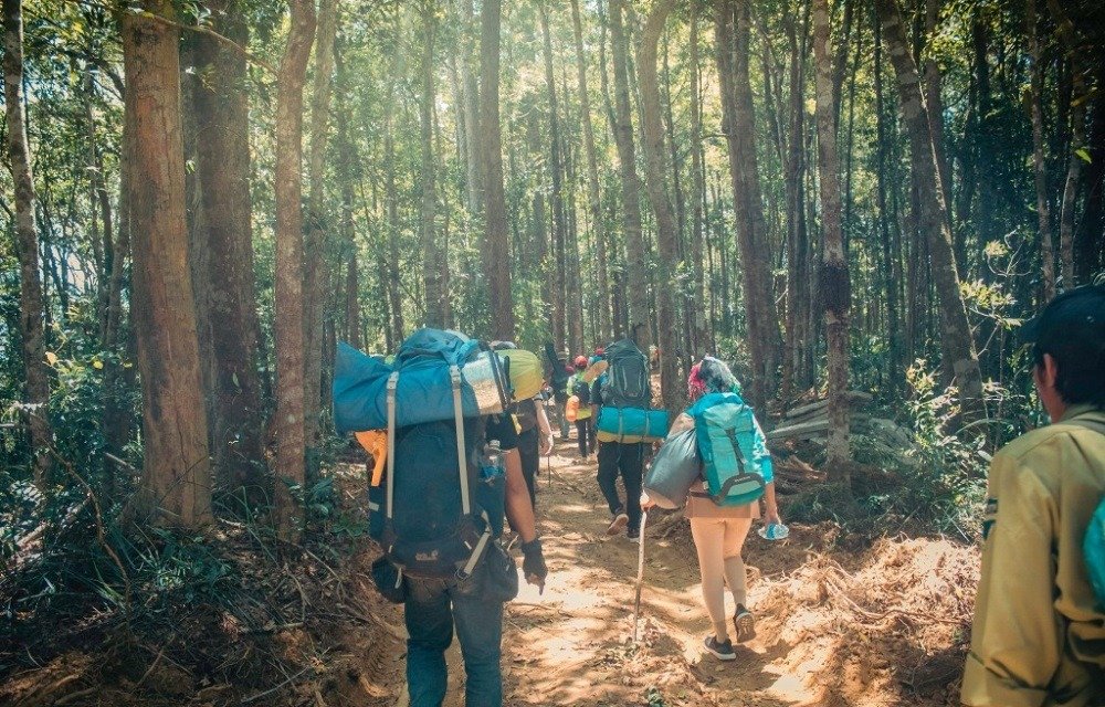 Chinh Phục Tây Nguyên: Top 5 Tour Trekking Đỉnh Cao Không Thể Bỏ Lỡ 2 Một nhóm người đi bộ đường dài qua một khu rừng tươi tốt với ba lô và trang thiết bị, ánh sáng mặt trời chiếu qua tán cây.