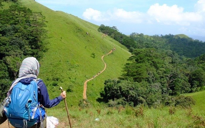 Người đi bộ leo núi trên con đường mòn uốn lượn xanh mát giữa cảnh quan thiên nhiên tươi đẹp.