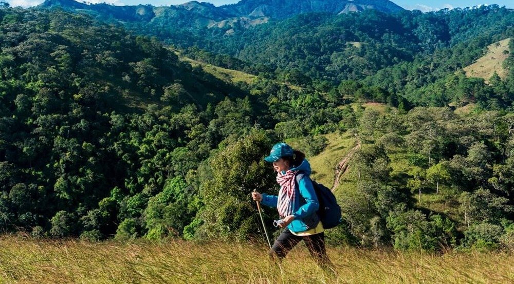 Người đang đi bộ trekking giữa khung cảnh thiên nhiên tươi xanh và núi rừng hùng vĩ.