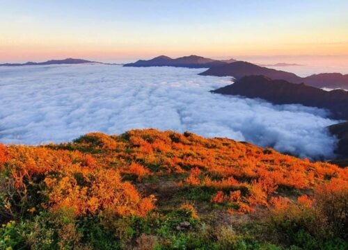 Hướng dẫn chi tiết trekking Tà Chì Nhù: Cung đường, kinh nghiệm & lưu ý