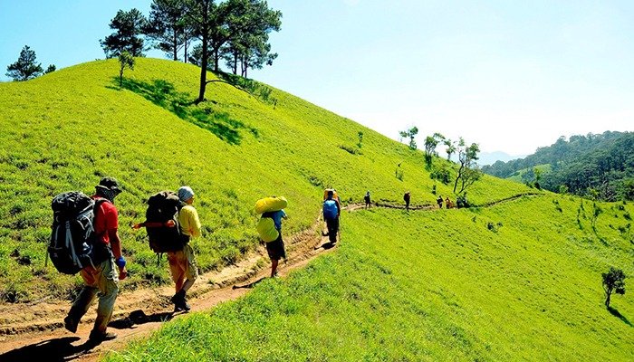 Trekking Langbiang: Cuộc phiêu lưu nóc nhà Đà lạt đầy hấp dẫn 3 Hướng dẫn di chuyển đến Langbiang chặng 2