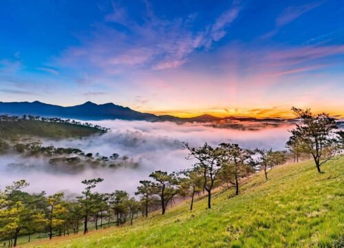 Khám Phá Cao Nguyên Lâm Viên – Hành Trình Trekking Đỉnh Cao Của Tây Nguyên
