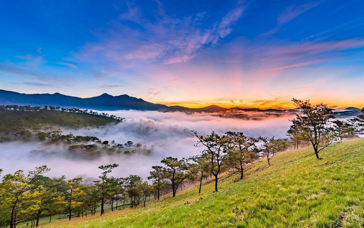 Khung cảnh bình minh tuyệt đẹp trên thung lũng với mây mù tràn ngập, đồi cỏ xanh mướt và cây cối trải rộng tại Đà Lạt, Việt Nam.