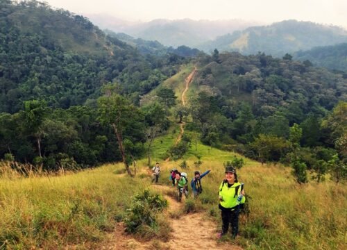 Khám Phá Hành Trình Hiking Tà Năng – Phan Dũng Hoàn Hảo Với Nguyên Tắc 5W1H!