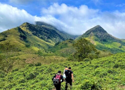 Khám Phá Tà Giang: Top Đầu Cung Đường Trekking Hấp Dẫn Nhất Miền Nam