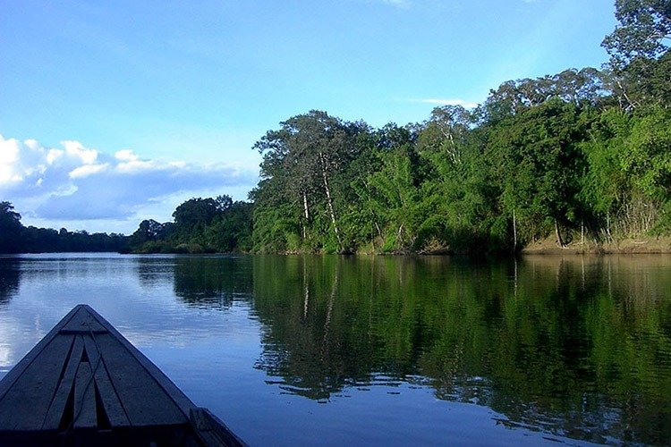 Khám phá dòng sông thanh bình giữa thiên nhiên xanh mướt với thuyền gỗ lướt nhẹ trên mặt nước phẳng lặng.