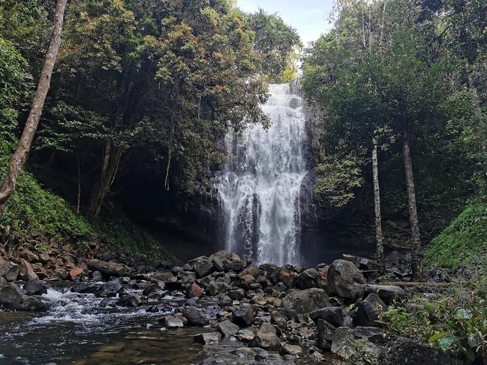 Thác nước đẹp ẩn mình trong rừng rậm xanh tươi, dòng nước trắng xóa chảy xuống tạo nên khung cảnh yên bình và tự nhiên.