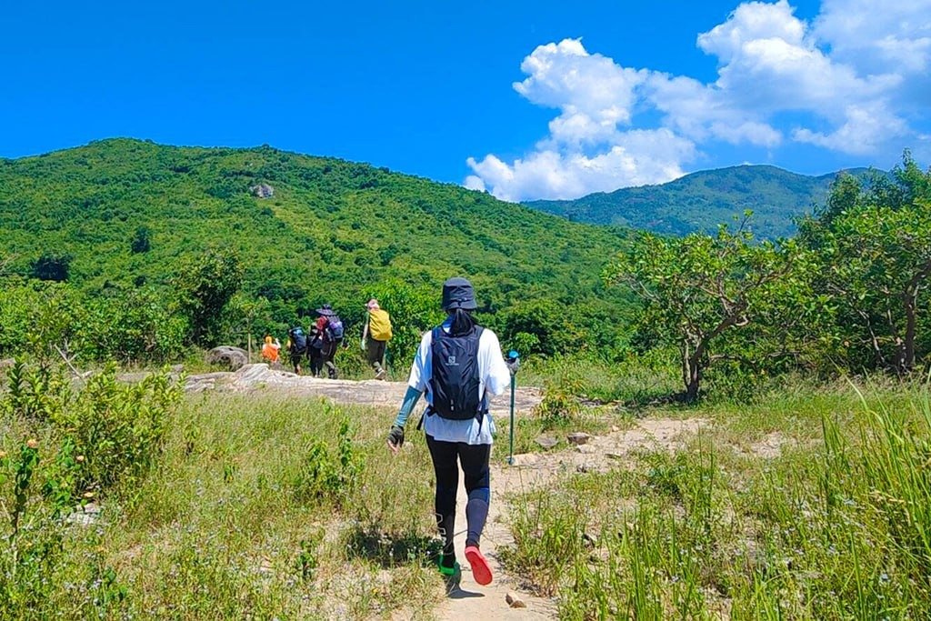 Người đi bộ đường dài mặc đồ thể thao, mang ba lô và gậy đi bộ, leo núi xanh rợp bóng cây dưới bầu trời trong xanh.