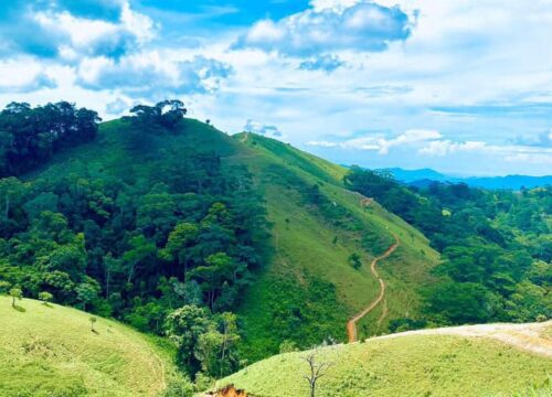 Kinh nghiệm chinh phục cung đường trekking đẹp nhất Việt Nam – Tà Năng Phan Dũng