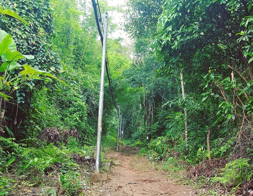 Leo núi Bà Đen đường cột điện