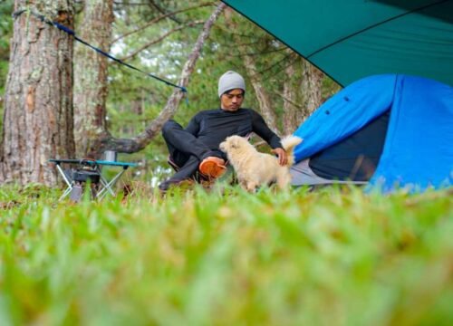 Mẹo Dựng Lều Nhanh Chóng Khi Đi Trekking: Hướng Dẫn Chi Tiết
