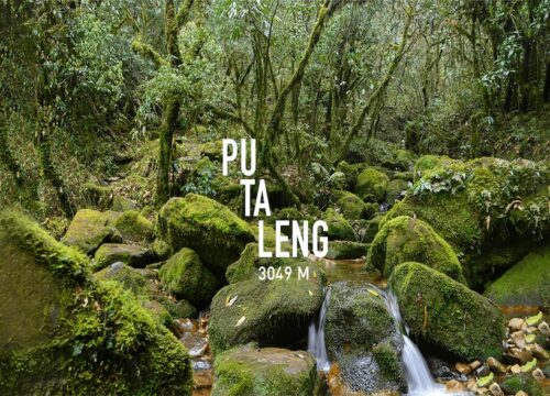 Putaleng trekking: Hành trình chinh phục đỉnh cao của Tây Bắc