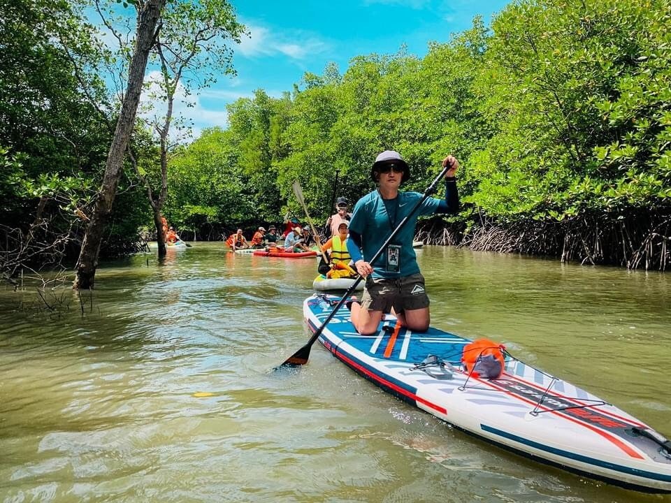 Chèo thuyền paddleboard qua rừng ngập mặn, nhóm du khách tận hưởng thiên nhiên xanh và bầu không khí trong lành mùa hè.