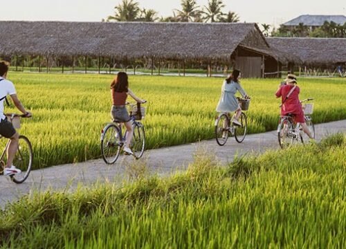 Sức Hút Khó Cưỡng Của Du Lịch Thôn Quê: Trải Nghiệm Mới Lạ Níu Chân Du Khách