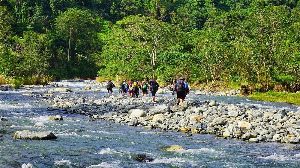 Nhóm người đi bộ đường dài vượt qua dòng suối và đá cuội, khung cảnh thiên nhiên xanh rờn của rừng cây bên bờ suối.