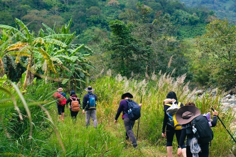 Nhóm du khách đi leo núi, backpacking xuyên vùng rừng nhiệt đới rậm rạp, khám phá thiên nhiên tươi đẹp.