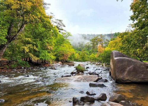 Tà Giang và 2 Địa Điểm Trekking Đà Lạt Siêu HOT Không Thể Bỏ Lỡ