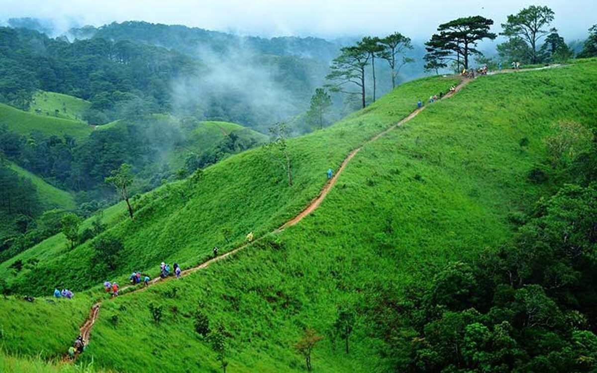 Du khách khám phá những con đường mòn xanh mướt và hùng vĩ tại vùng cao nguyên mờ sương với thiên nhiên bao la.