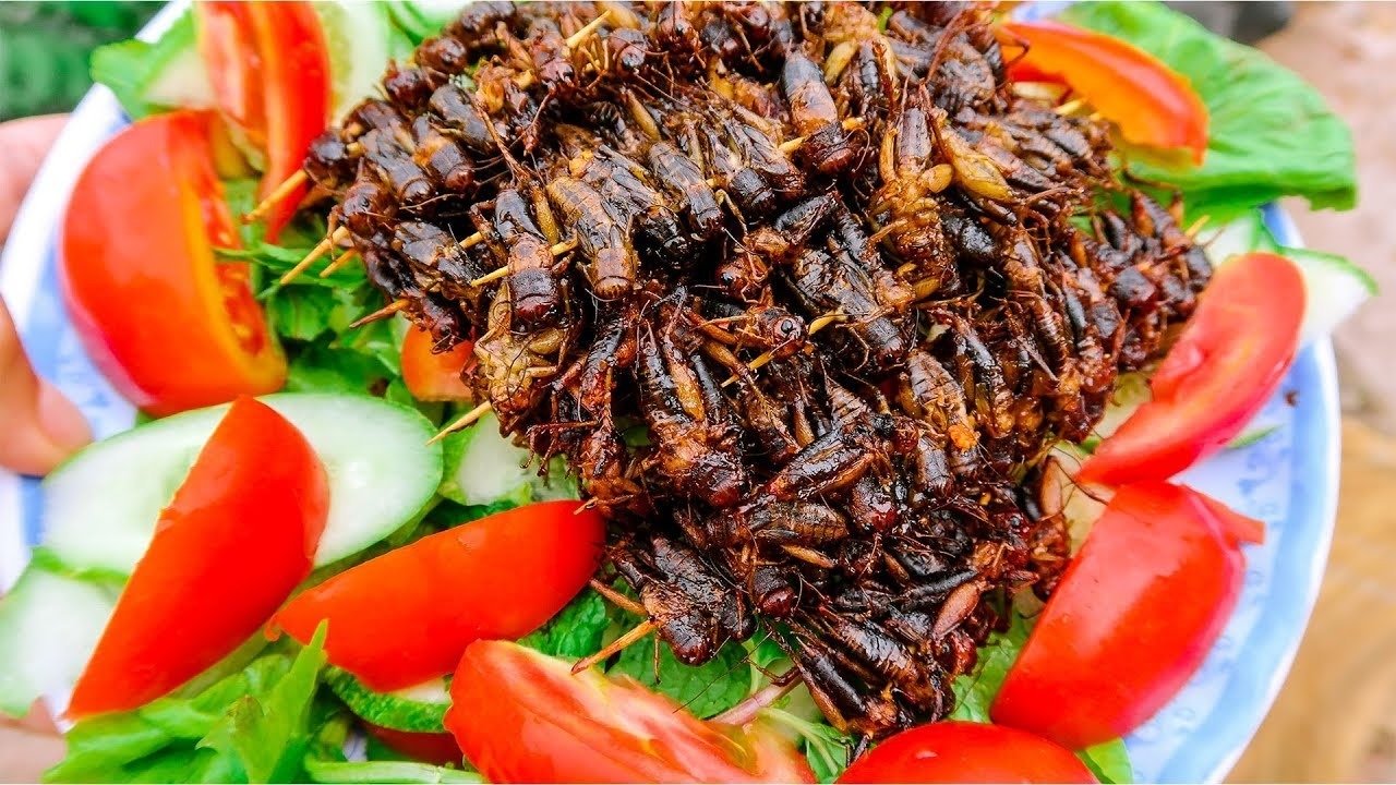 Trải Nghiệm Cuối Tuần Thơ Mộng Tại Thác Đá Hàn: Điểm Đến Lý Tưởng Cho Kỳ Nghỉ 3 Đĩa dế chiên giòn kèm salad cà chua và dưa chuột tươi mát, món ăn độc đáo và giàu protein.