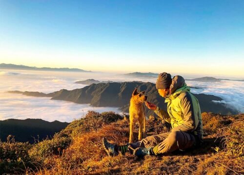 Chinh Phục Miền Bắc: Top Tour Trekking Hấp Dẫn Dành Cho Tâm Hồn Phiêu Lưu 17 Chinh Phục Miền Bắc: Top Tour Trekking Hấp Dẫn Dành Cho Tâm Hồn Phiêu Lưu