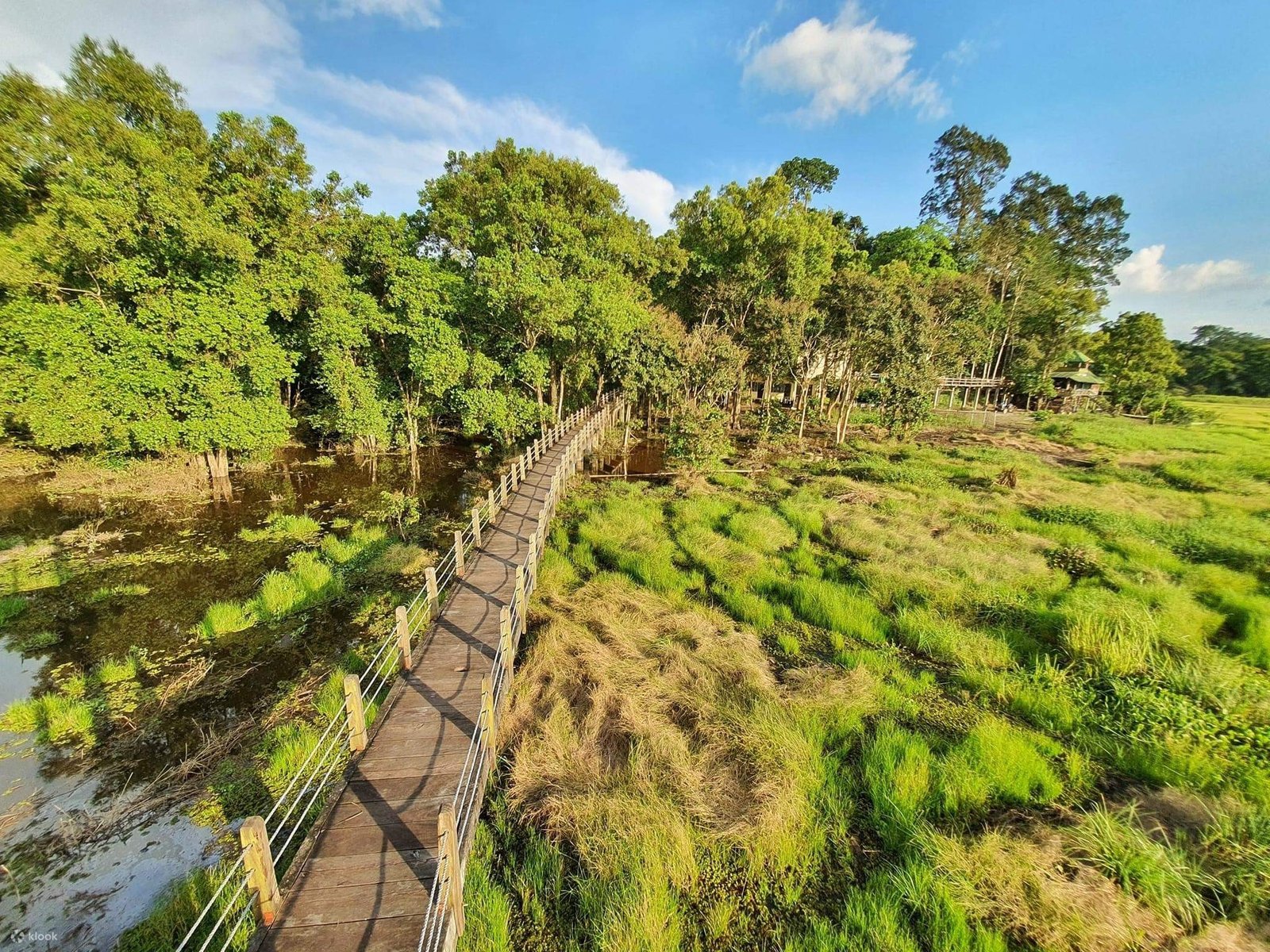 Trekking Vườn Quốc Gia Cát Tiên 