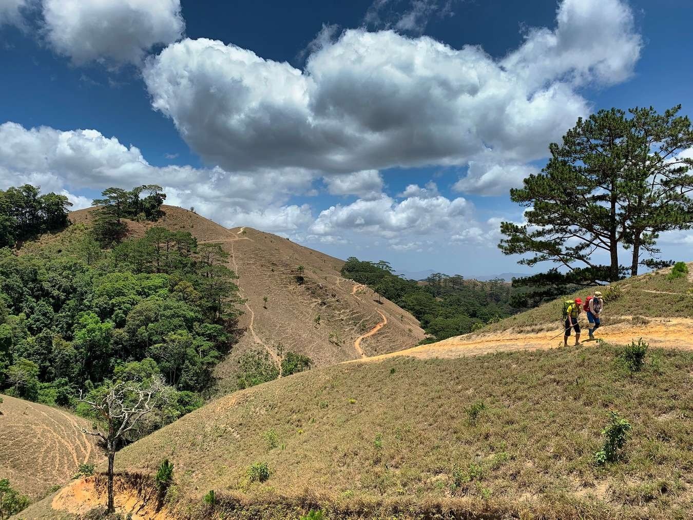 Khám phá thiên nhiên: Hai người leo núi quả đồi rợp bóng cây, đường mòn uốn lượn, trời xanh mây trắng dịu dàng.
