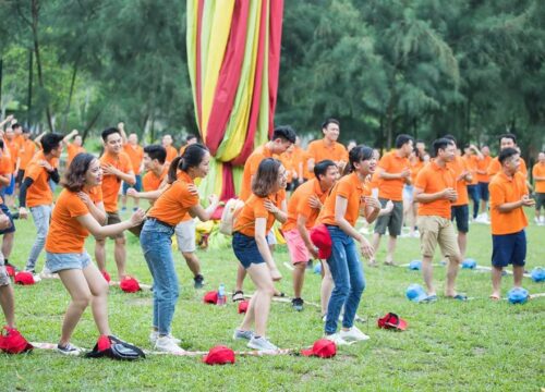 Khám Phá Top Địa Điểm Team Building Độc Đáo và Ấn Tượng Nhất Tại Ninh Bình