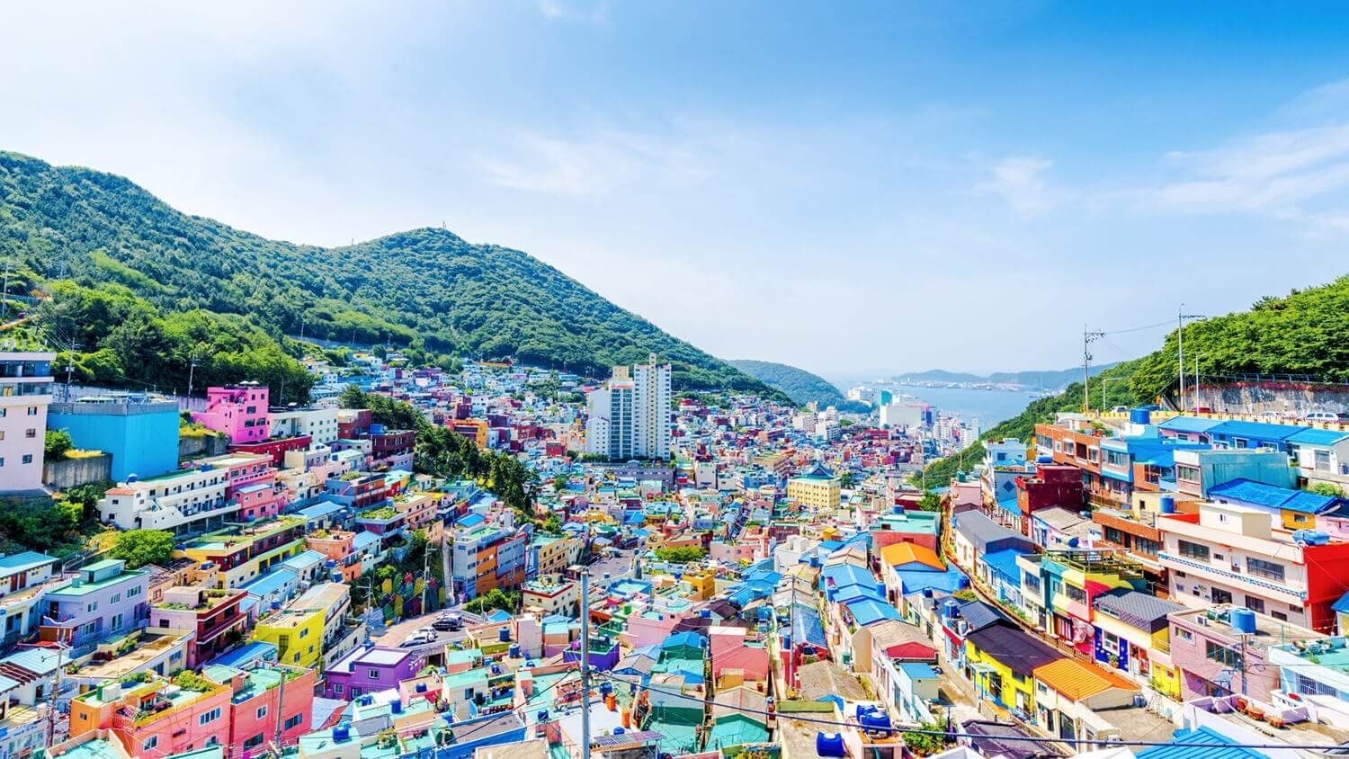 Toàn cảnh làng chài với những ngôi nhà sơn màu sắc rực rỡ nằm bên sườn núi gần biển, trời trong xanh.