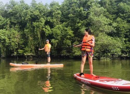 Chuyên Gia Thiết Kế Tour 1 Ngày: Trải Nghiệm Hành Trình Đáng Nhớ Bạn Không Thể Bỏ Lỡ