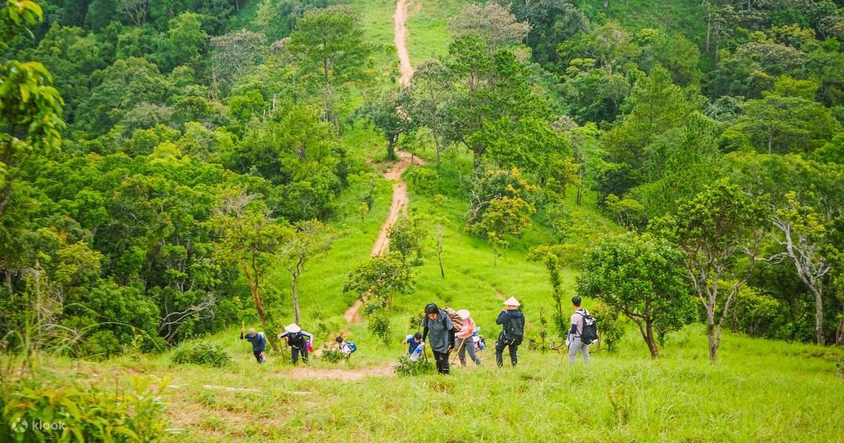 Nhóm du khách đi bộ leo núi trong khu rừng nhiệt đới xanh tươi với con đường mòn tự nhiên uốn lượn nổi bật.